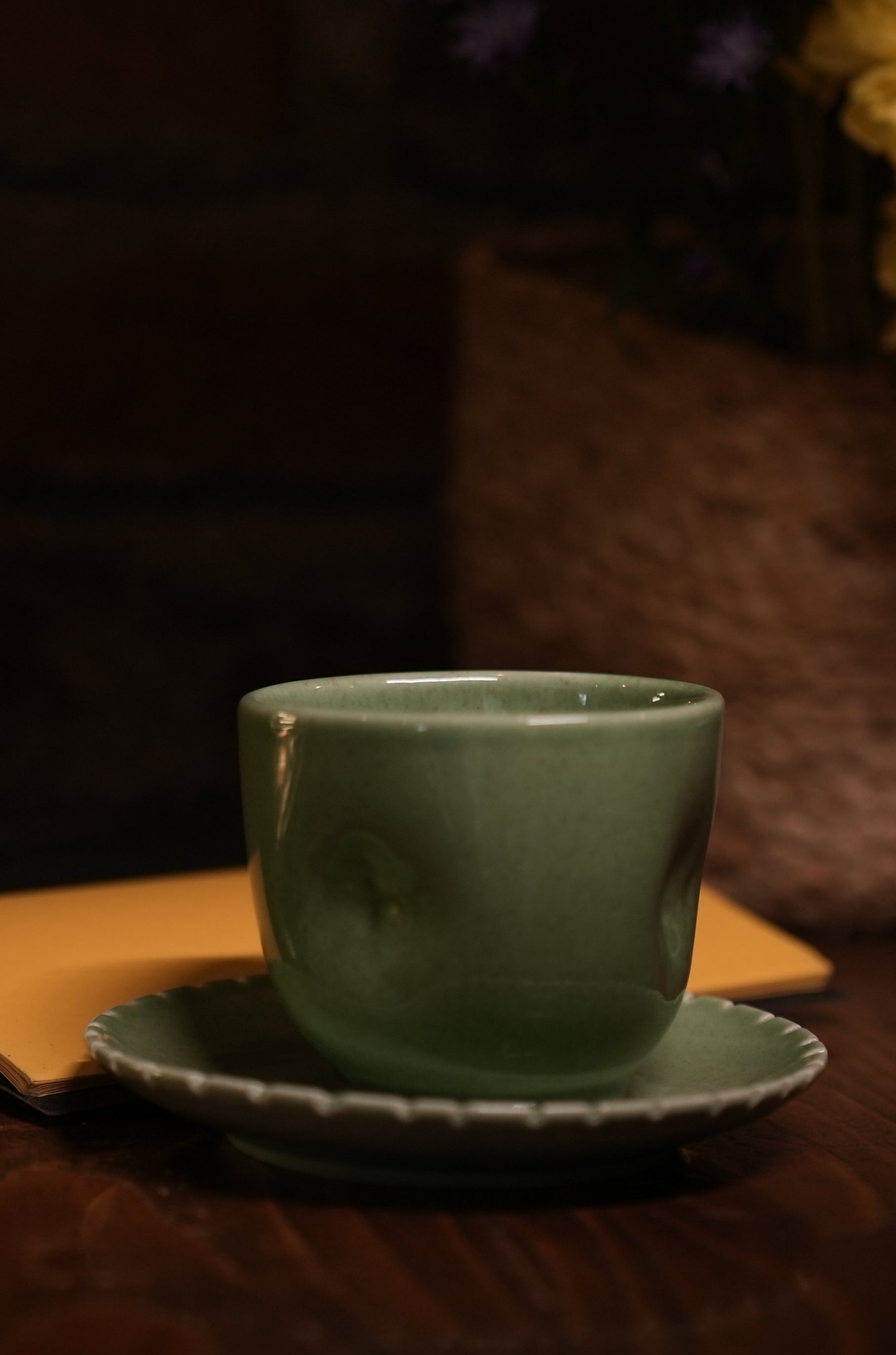 Harita Sarovar Mug & Saucer
